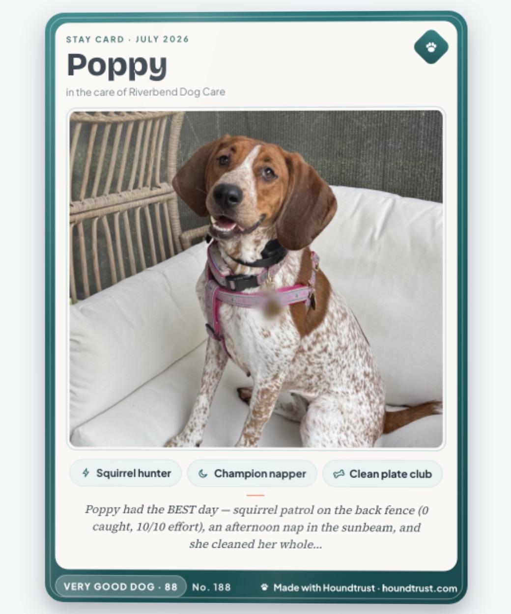 A dog's daily report card styled like a collectible trading card: photo of Poppy, trait badges, and a note about her day