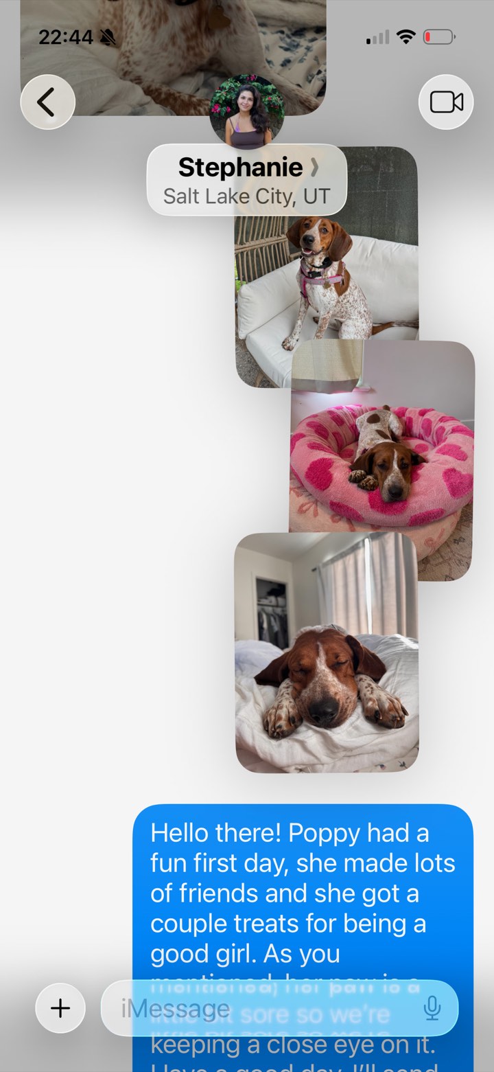 An actual update from Stephanie, a Houndtrust sitter, with daily photos of Poppy and a thoughtful note about her first day.